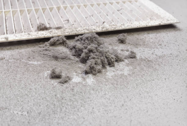 Best HVAC Maintenance and Cleaning  in King Arthur Park, MT