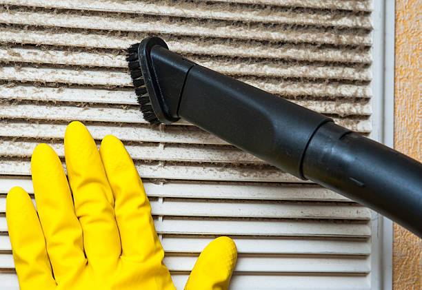 Best Affordable Duct Cleaning Services  in King Arthur Park, MT